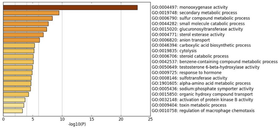 Rna Seq解析 株式会社ジエンブル Genble Inc