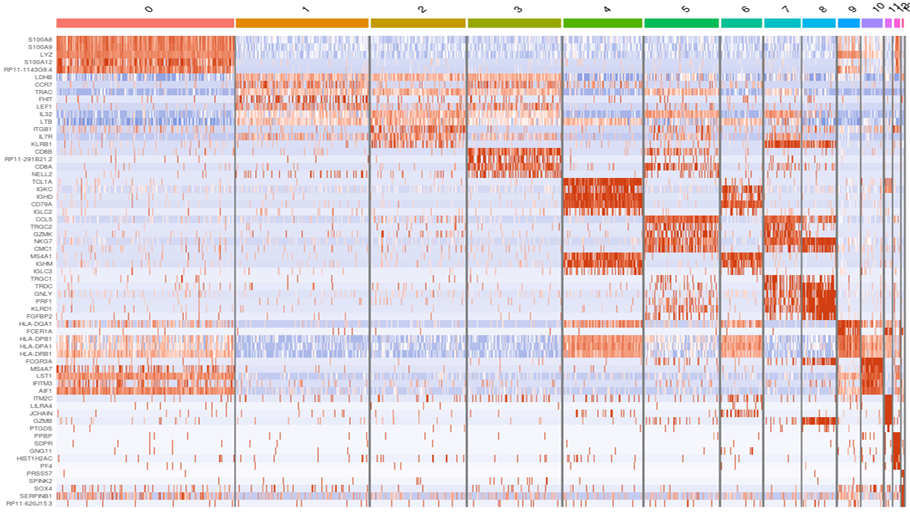 各クラスタの発現変動遺伝子(Heatmap)