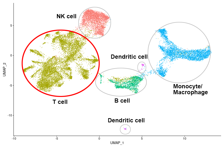 腫瘍浸潤リンパ球と末梢血リンパ球のクラスタリング結果(23,489 cells))