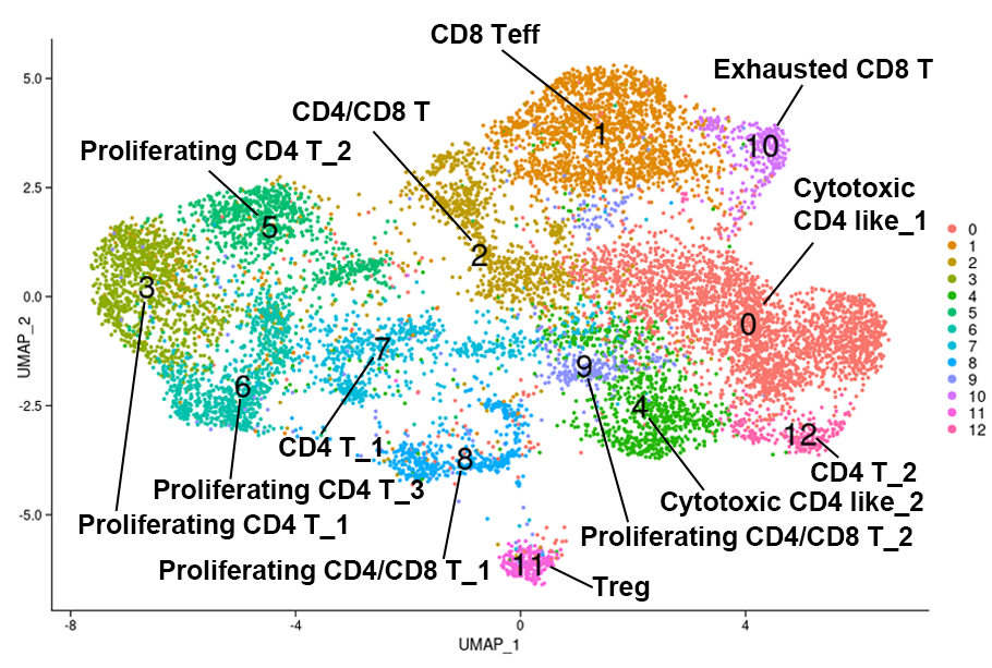 CAR-T細胞のクラスタリング結果（11,464 cells, 2群、n=3, UMAP）