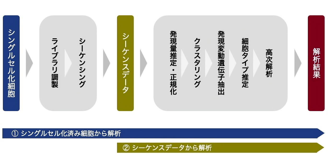 解析フロー