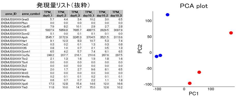 各検体の遺伝子発現量推定結果および主成分分析（PCA)結果