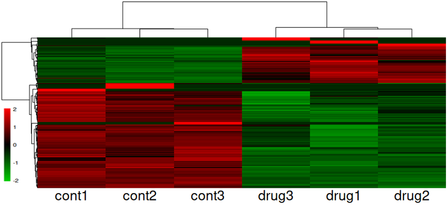 発現変動遺伝子の可視化(Heatmap)