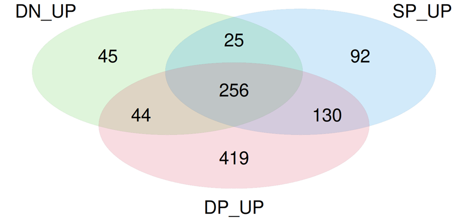 がん浸潤CD8+ T細胞のサブタイプごとの発現変動遺伝子のベン図