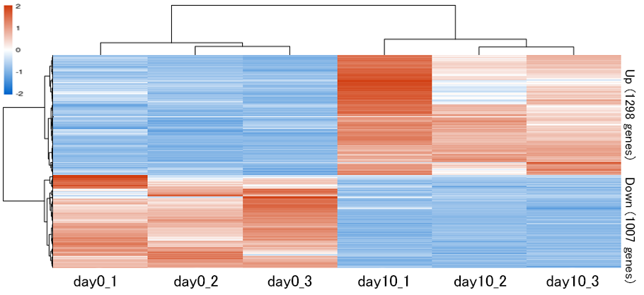 2群間の発現変動遺伝子の可視化(Heatmap)