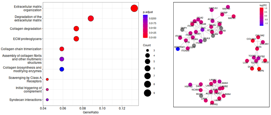 発現変動遺伝子のパスウェイ解析
