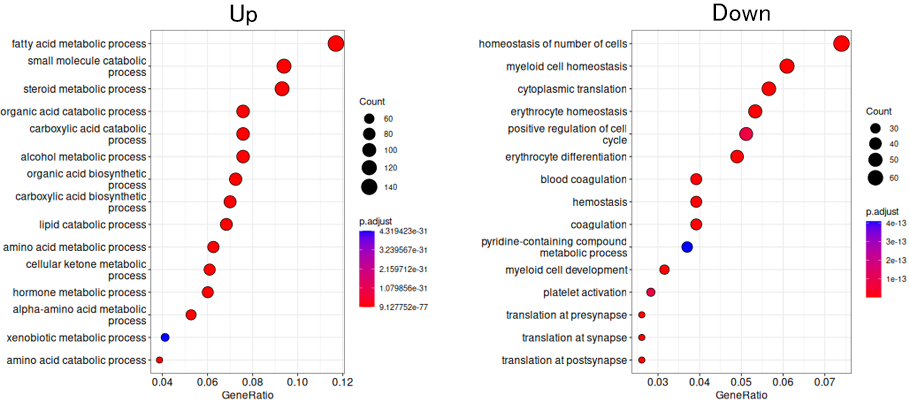 2群間の発現変動遺伝子のGO解析