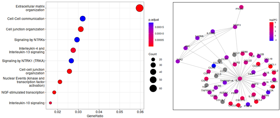 発現変動遺伝子のパスウェイ解析