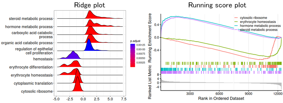 2群間発現比較におけるGSEA結果