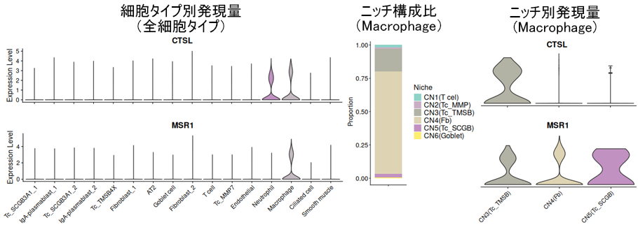 マクロファージにおけるニッチによる遺伝子発現の差