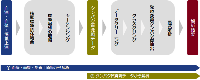解析フロー