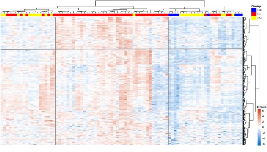 JDM患者血漿中の発現変動タンパク質の可視化（Heatmap）